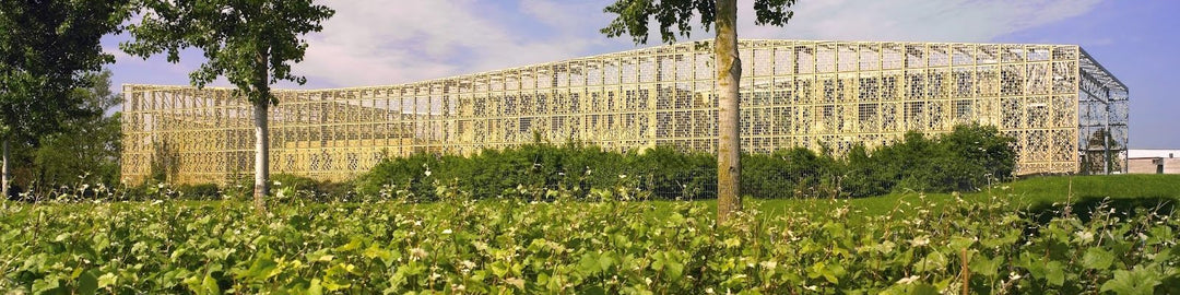 Charles Heidsieck