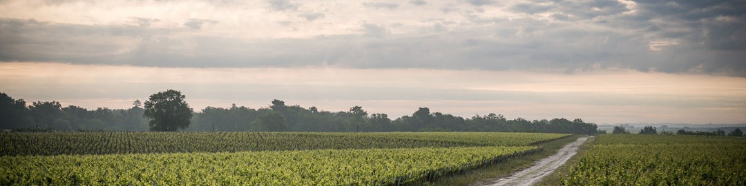 Château Camensac