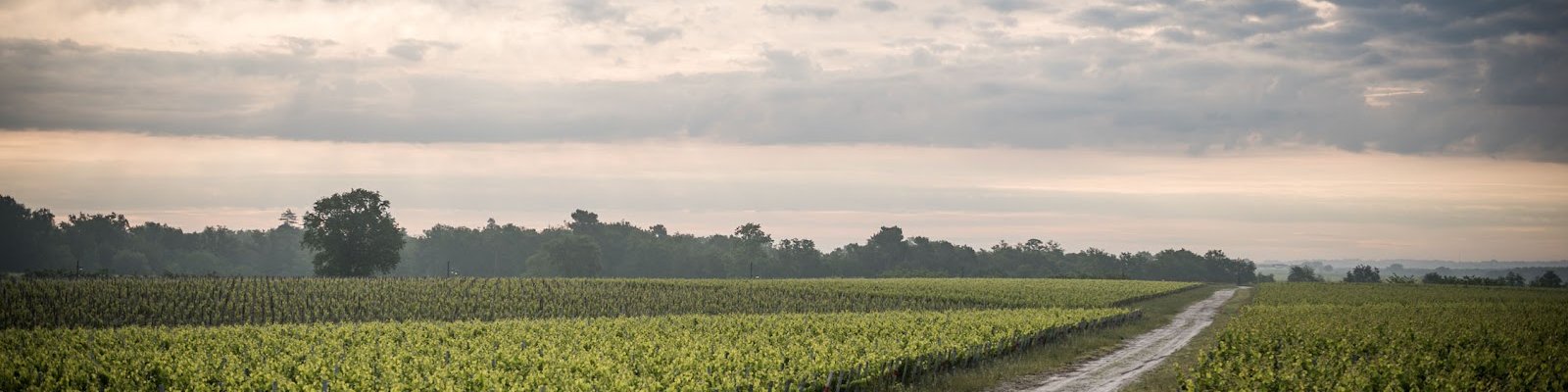 Château Camensac