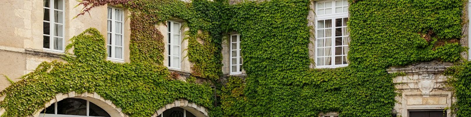 Chateau Carbonnieux