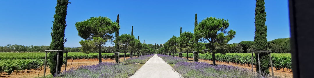 Chateau Leoube
