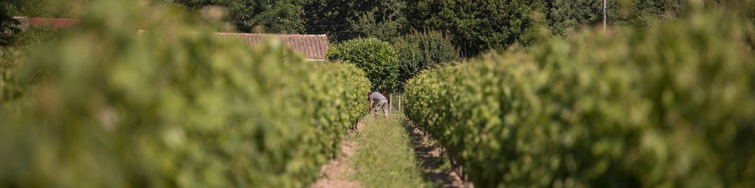Chateau Poitevin
