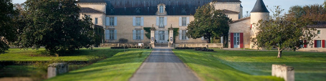 Chateau Suduiraut