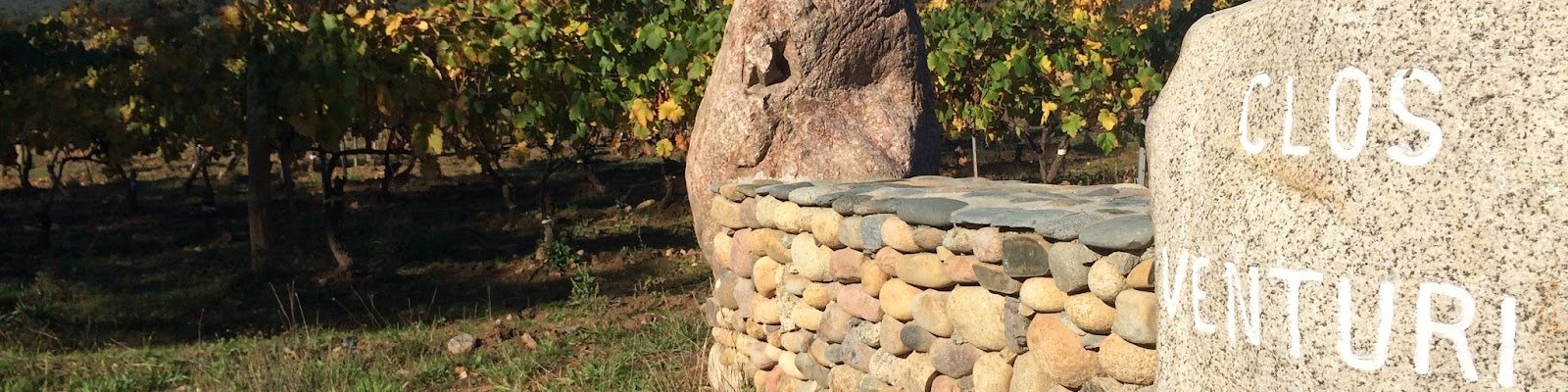 Clos Venturi