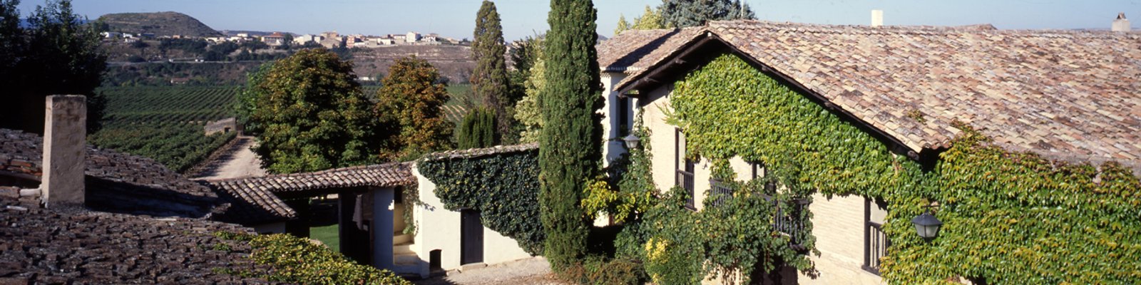 Contino