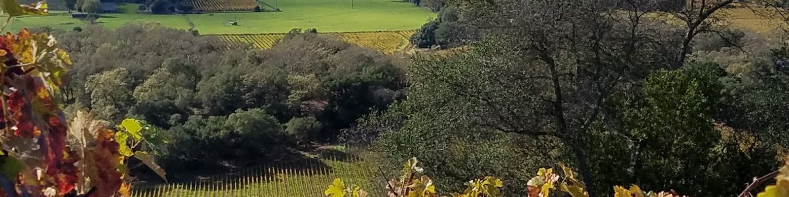 Dalla Valle