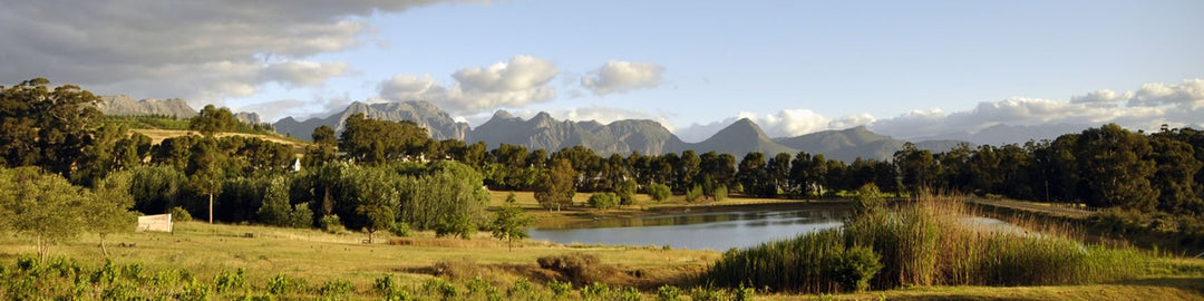 Diemersfontein