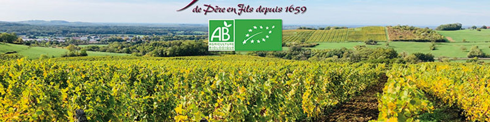 Domaine Badoz
