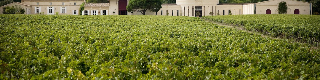 Domaine De Chevalier