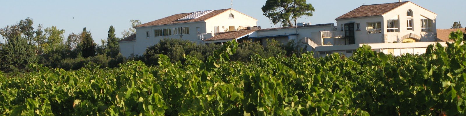 Domaine Feline Jourdan