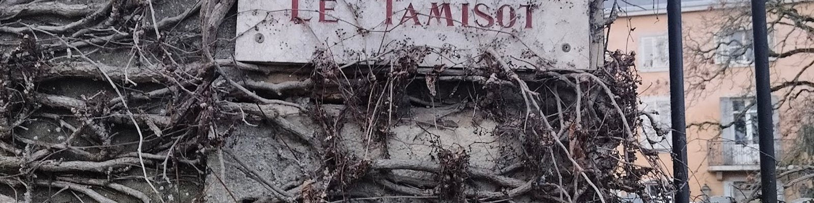 Domaine Pierre Damoy