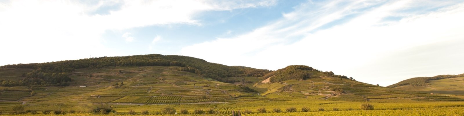 Domaine Weinbach