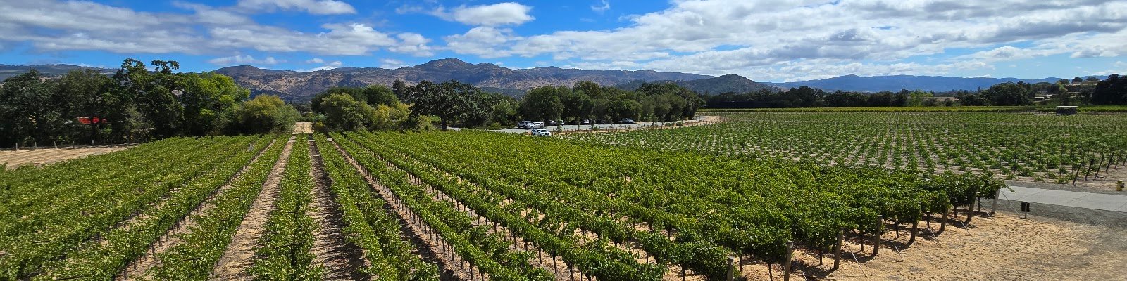 Dominus Estate