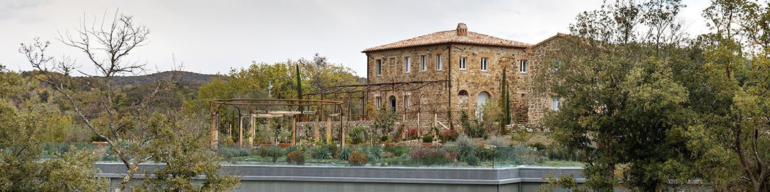 Luce Della Vite