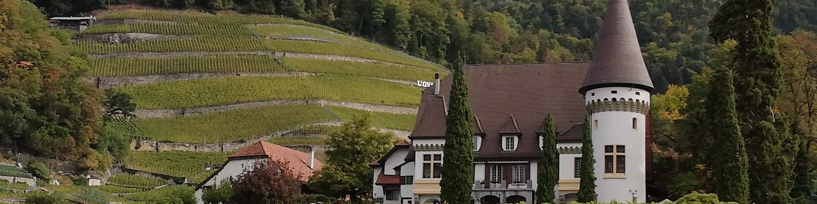 Maison Blanche
