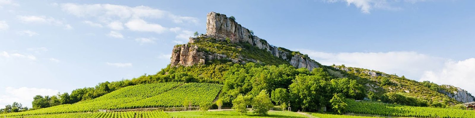 Maison Matisco