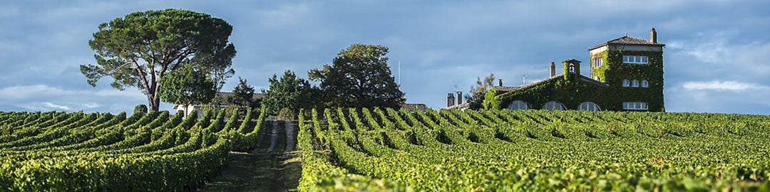 Chateau Rieussec