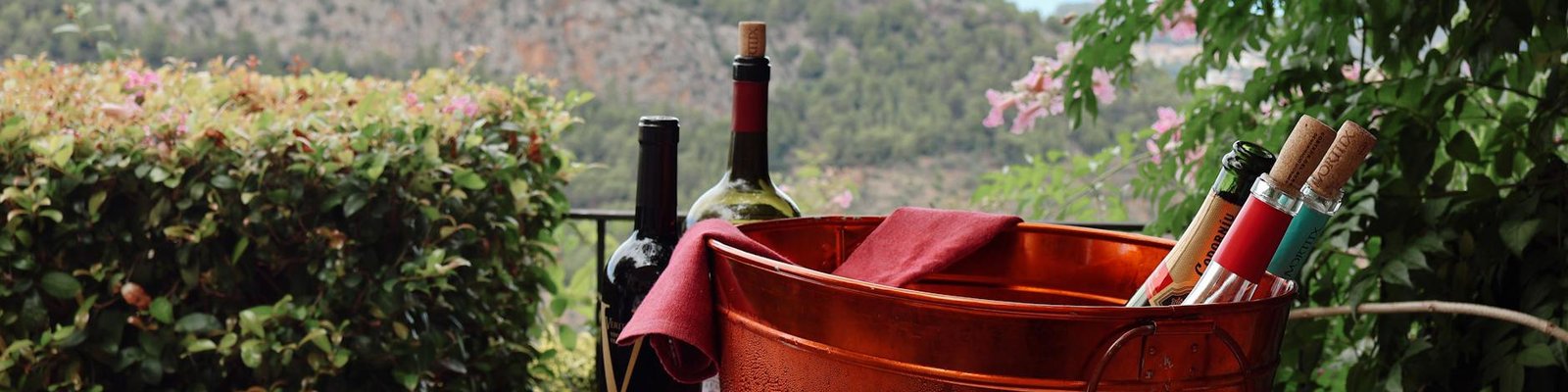 Spain - Red wines