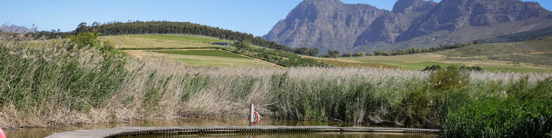 Stellenbosch