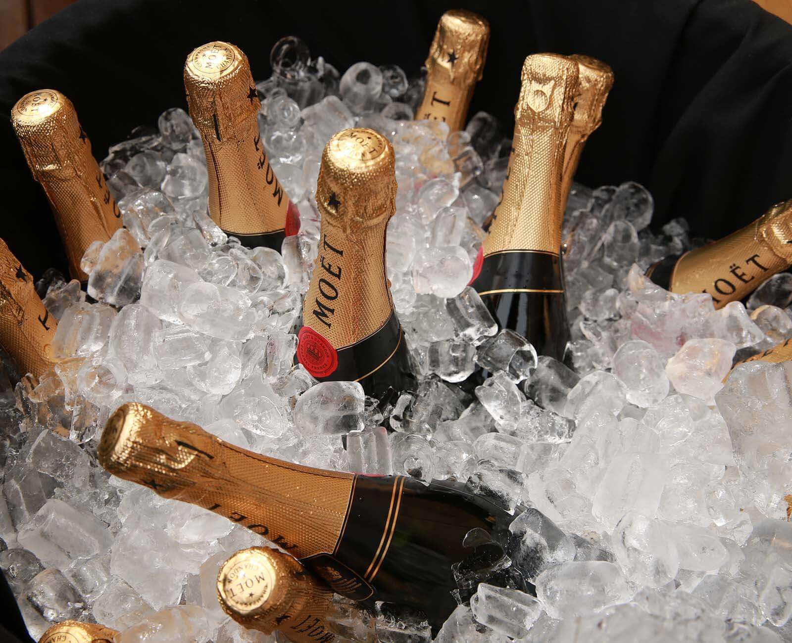 Bottles of Moët champagne chilling in a large container filled with ice cubes. The bottles have a gold foil wrapper and black labels, partially embedded in the ice, ready for serving.