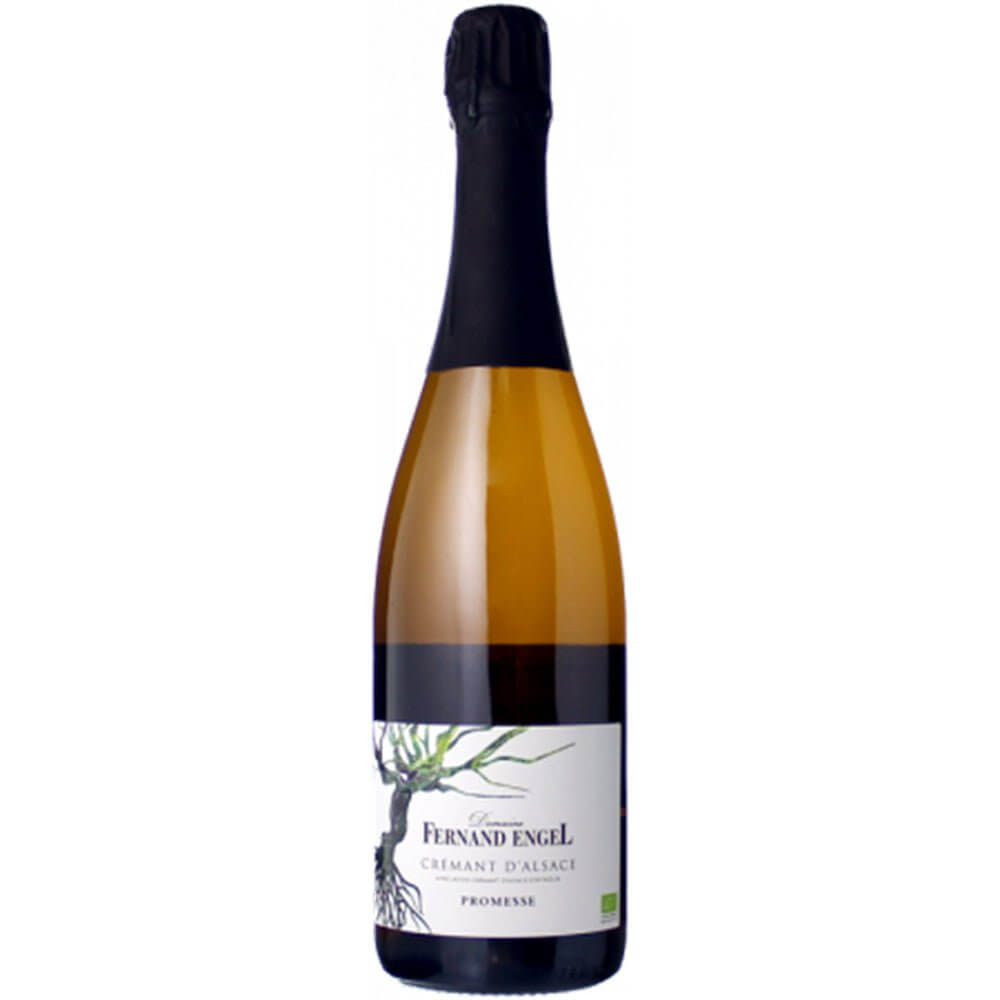 Domaine Fernand Engel - Crémant D'Alsace - Promesse - NV - 75cl - Onshore Cellars