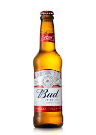 Bud - Glas - 24 x 33cl